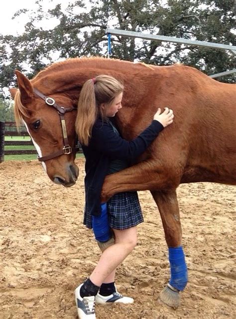 Horse fucks woman in the pussy and cums in her .